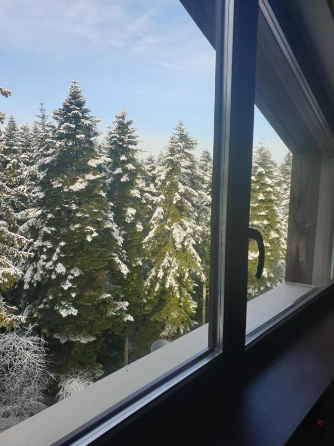Borovets Forest View Exteriér fotografie