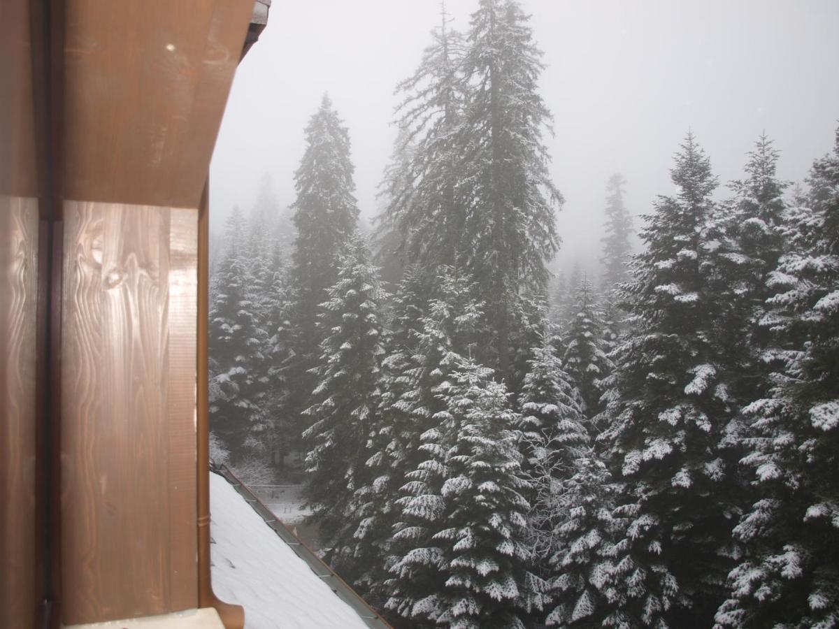 Borovets Forest View Exteriér fotografie