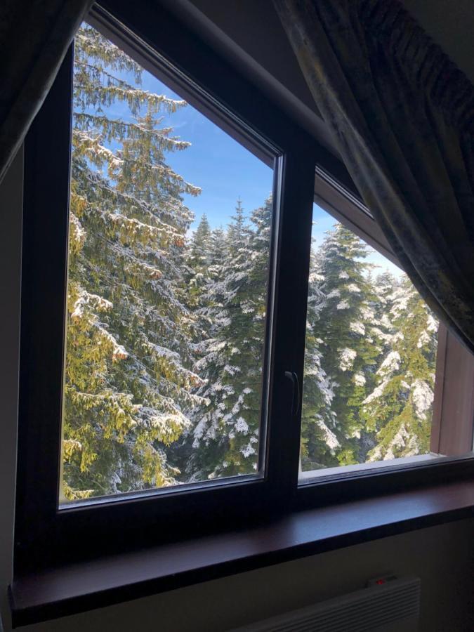 Borovets Forest View Exteriér fotografie