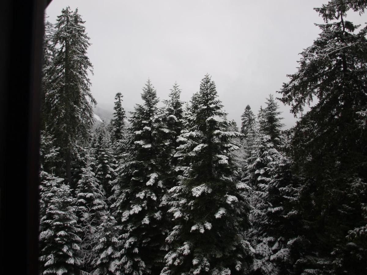 Borovets Forest View Exteriér fotografie