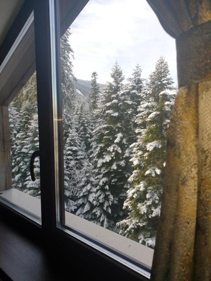 Borovets Forest View Exteriér fotografie